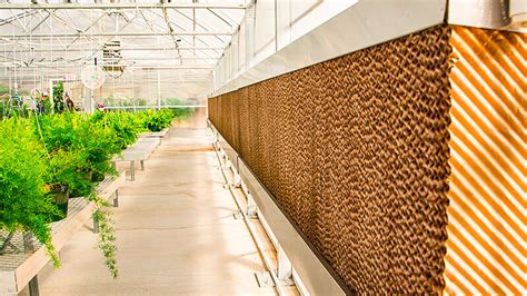Greenhouse Cooling - Microcool - raincitystudios.com