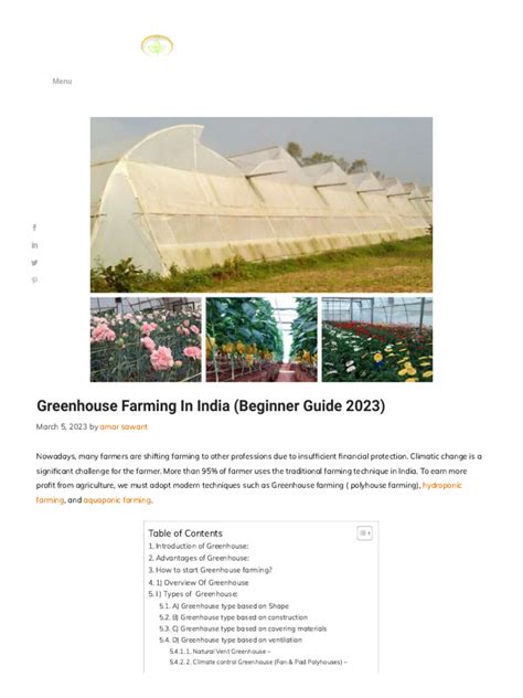 Greenhouse Farming in India (beginner guide 2025) - balustradellc