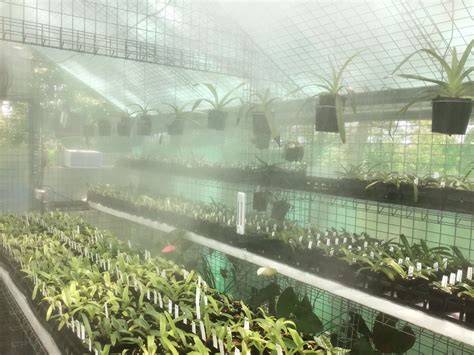 Greenhouse Misting Systems - Humidification - raincitystudios.com