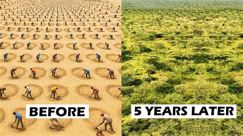 Greening America's Communities | US EPA - raincitystudios.com