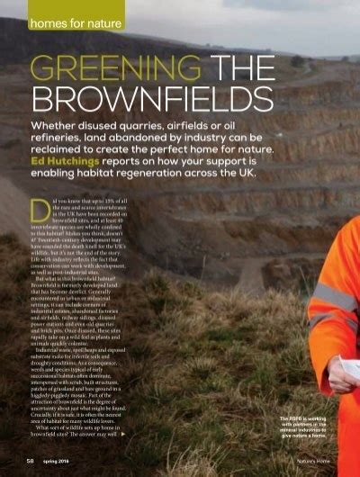 Greening the brownfields | HOMBRE Project - CORDIS - raincitystudios.com