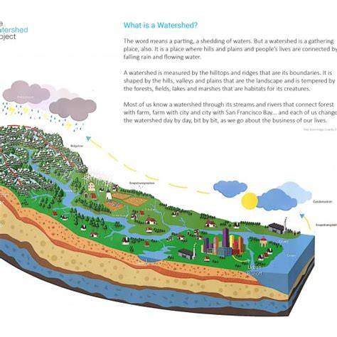 Greening Urban Watersheds* - The Watershed Project - raincitystudios.com