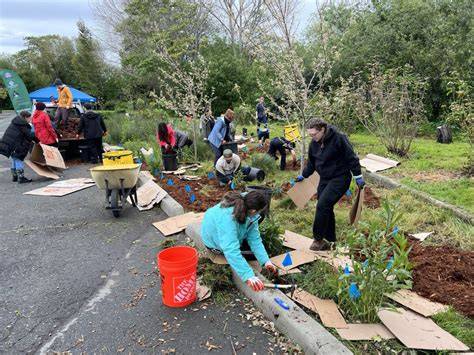 Greening Urban Watersheds - The Watershed … - raincitystudios.com