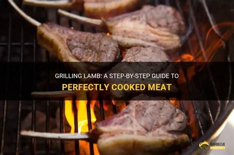 Grilling Lamb Chops: A Step-By-Step Guide To Perfectly Cooked Meat - balustradellc
