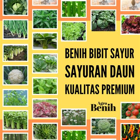 Grosir benih & bibit tanaman unggul || Agro Mangrove - raincitystudios.com