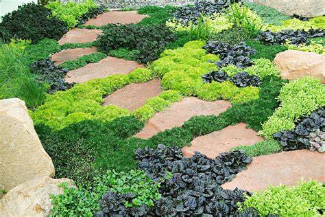 Groundcovers for Shade - Gardening Solutions - raincitystudios.com