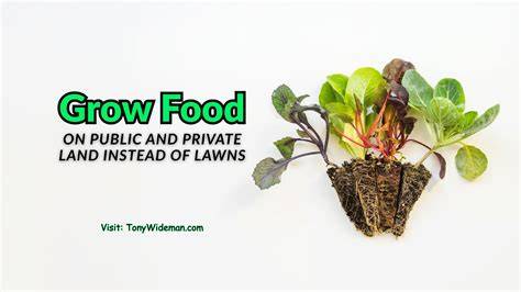 Grow Food, Not Lawns - Keyhole Garden Tutorial in … - raincitystudios.com