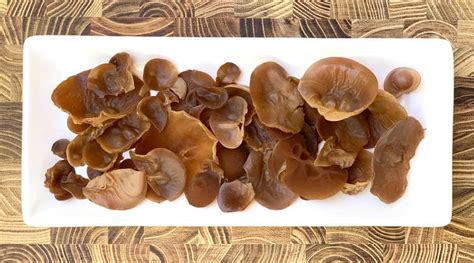 Grow Your Own Wood Ear Mushrooms - Green Packs - balustradellc