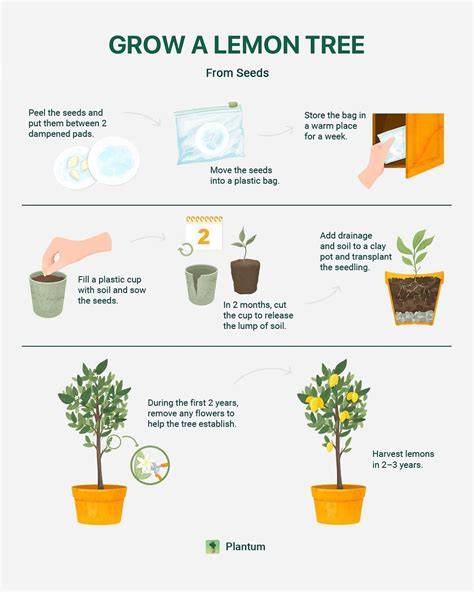 Growing Citrus Handout - raincitystudios.com