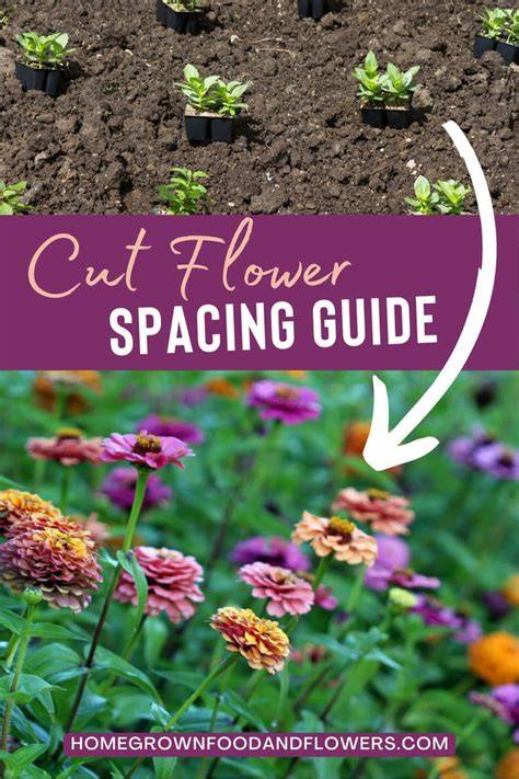 Growing Cut Flowers as a Side Hustle or Business - raincitystudios.com
