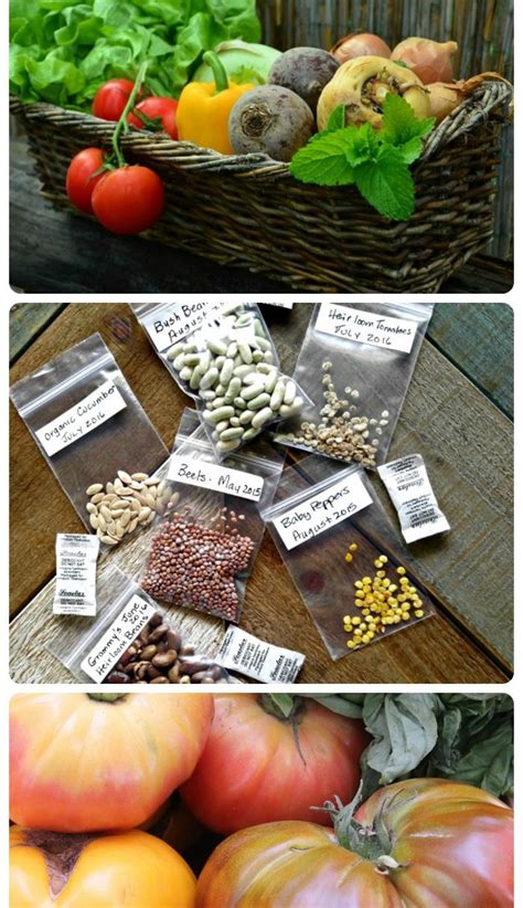 Growing Heirloom Seeds Indoors - balustradellc