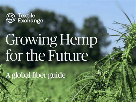 Growing Hemp for the Future: A Global Fiber Guide - raincitystudios.com