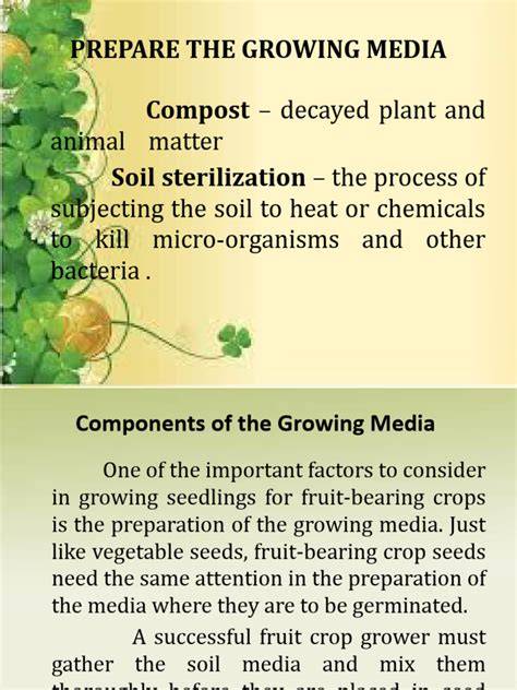 Growing Media Minnesota - Consulting Page — Green Thumb Depot - raincitystudios.com