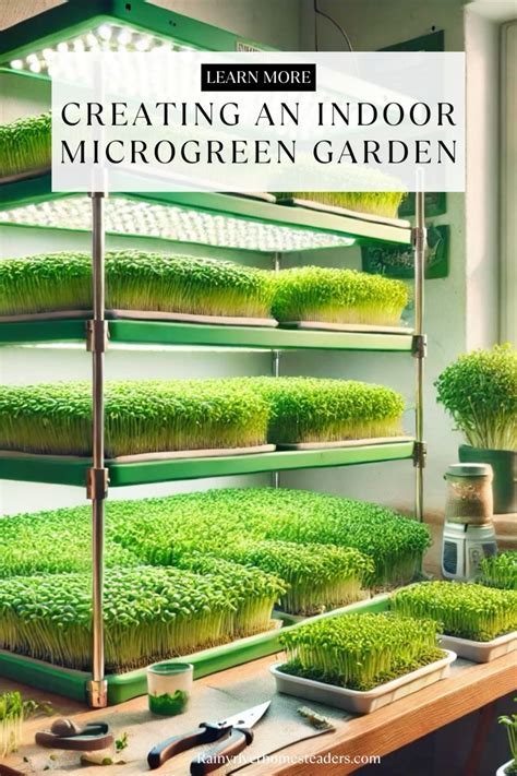 Growing Microgreens at Home: Your Indoor Garden Guide - balustradellc