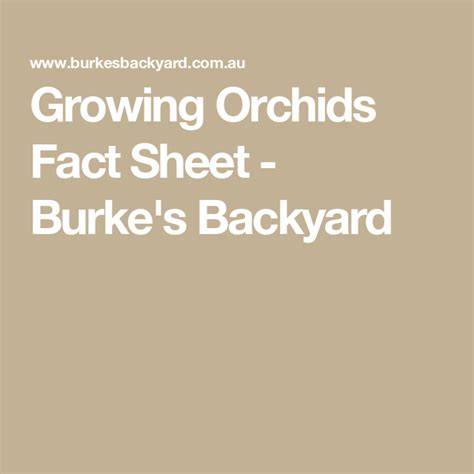 Growing Orchids Fact Sheet - Burke's Backyard - raincitystudios.com