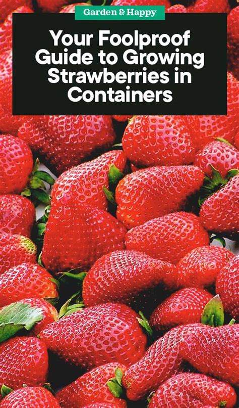 Growing Strawberries in Containers: A Complete Guide to a Bountiful ... - balustradellc