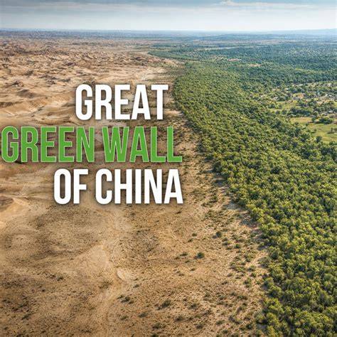 Growing the Great Green Wall - International Partnerships - raincitystudios.com