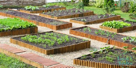 Growing Together: A Comprehensive Guide to Running a Community Garden ... - raincitystudios.com