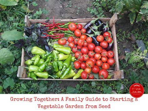 Growing Together: Your Guide to Starting a Community Garden - raincitystudios.com