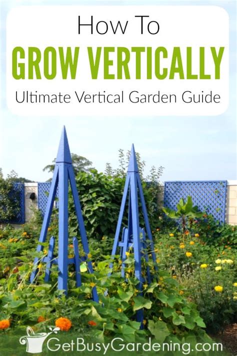 Growing Vertically: The Ultimate Vertical Garden Guide - balustradellc