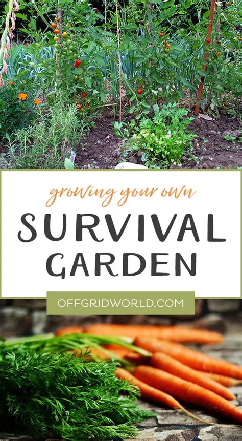 Growing Your Own Survival Garden - Off Grid World - balustradellc