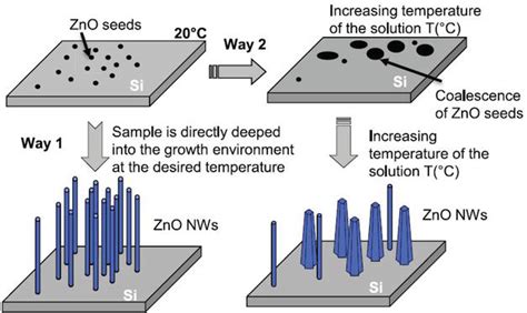 Growth of nanowires - ScienceDirect - wintechmobiles.com