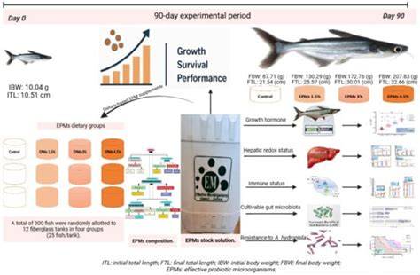 Growth performance, health status and flesh quality of striped catfish ... - raincitystudios.com