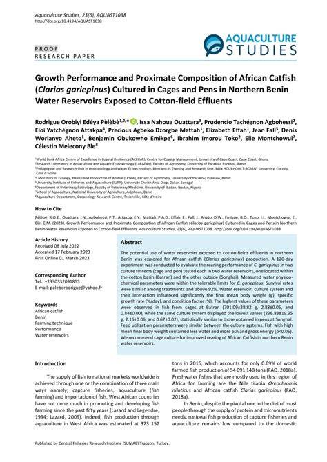GROWTH PERFORMANCE OF AFRICAN CATFISH, … - raincitystudios.com