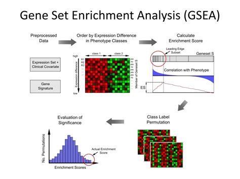 GSEA for R - Bioconductor