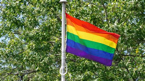 GTA school boards fly Pride flags in face of protests opposing gender ideology