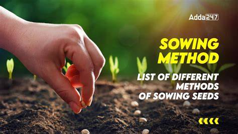 Guava Production Technology Guide | PDF | Sowing | Seed - raincitystudios.com