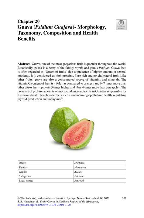 Guava Taxonomy and Classification Overview | PDF | Horticulture And ... - raincitystudios.com