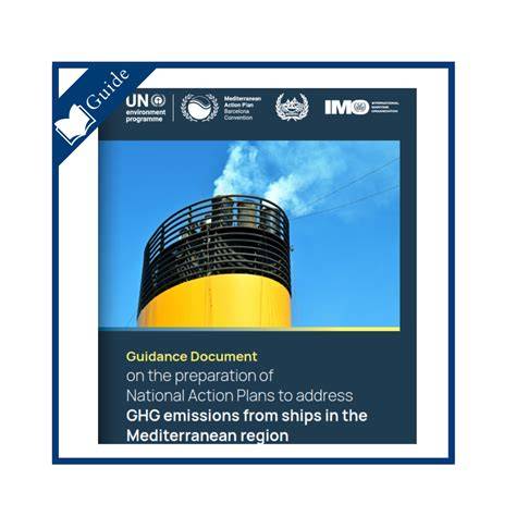 GUIDANCE DOCUMENT: PREPARATION OF NATIONAL ACTION … - raincitystudios.com