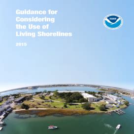 Guidance for the Successful Use of Living Shorelines - raincitystudios.com