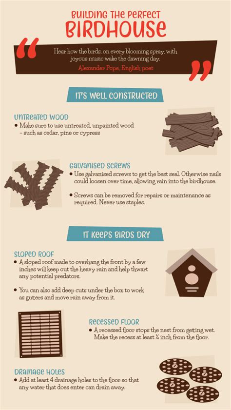 Guide: Building the Perfect Birdhouse - Because Birds - balustradellc