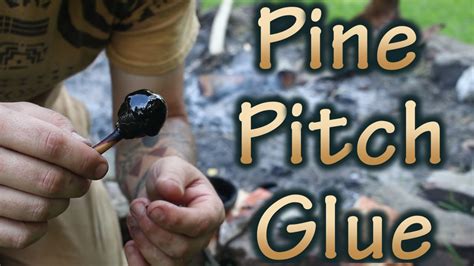 Guide: How to Make Pine Pitch Glue at Home : r/selfreliance - balustradellc