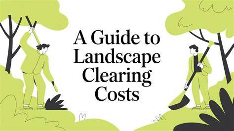 Guide to Clearing Land: Costs & Options to Consider - raincitystudios.com