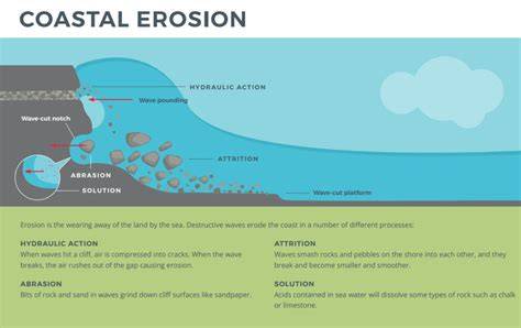 Guide to Coastal Erosion: Prep and Prevention | DeVooght - raincitystudios.com