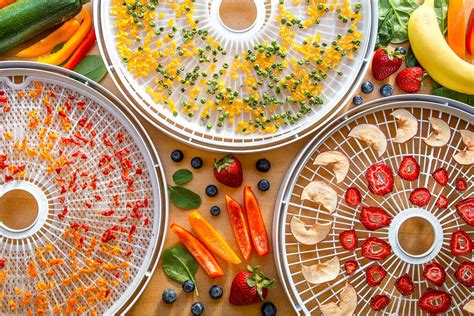 Guide to Dehydrating Food - Backpacking Chef - balustradellc