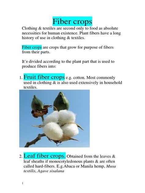 Guide To Fiber Crops - Cultivation Ag - raincitystudios.com