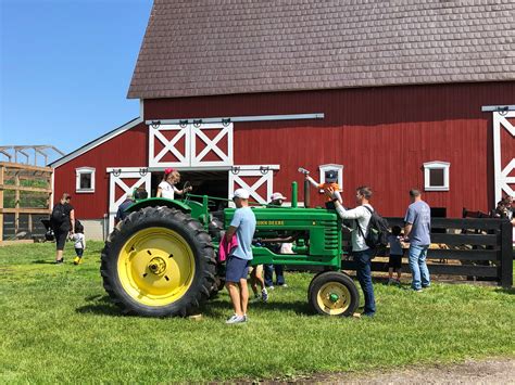 Guide to Free-Range Chicken Farming | Lucerne Farms - balustradellc
