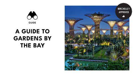 Guide to Gardens by the Bay Singapore 2025 - raincitystudios.com