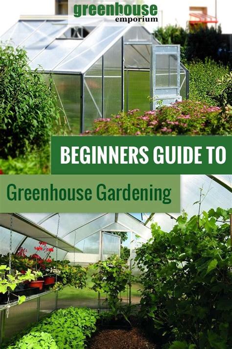 Guide To Greenhouse Gardening - The Family Handyman - balustradellc