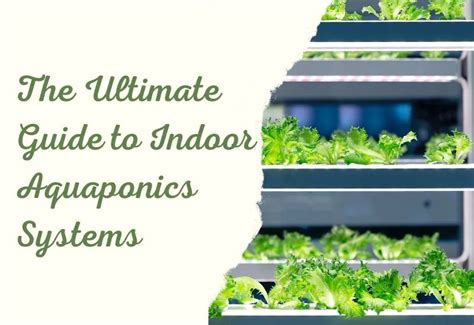 Guide to Indoor Aquaponics Gardening - Go Green … - balustradellc