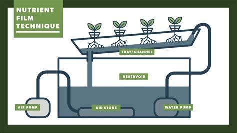 Guide to Nutrient Film Technique Aquaponics System - raincitystudios.com