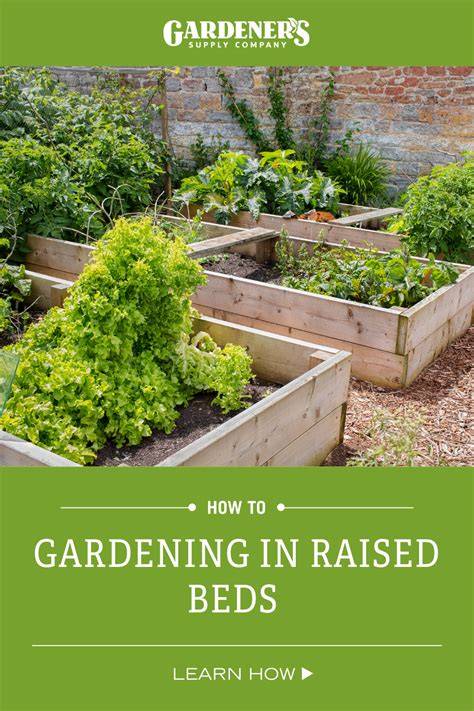 Guide to Raised Beds: Plans, Timing, Tending - raincitystudios.com