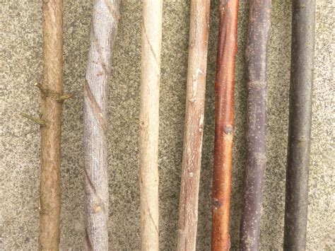 Guide to Selecting and Seasoning Wood for Walking … - balustradellc