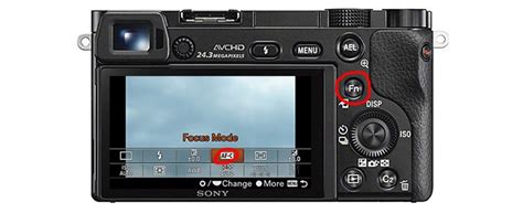 Guide to Sony a6000 Focus Modes (Simple) - Chance … - balustradellc