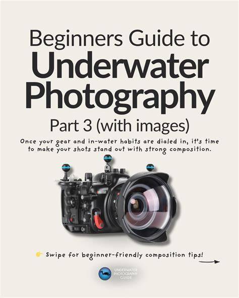 Guide to Underwater Photography | Gear, Tips & Bubbles! - Shotkit - raincitystudios.com