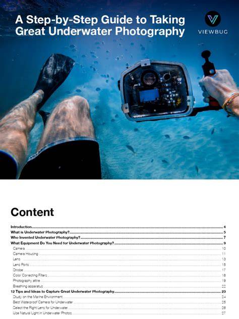 Guide to Underwater Photography | Gear, Tips - raincitystudios.com